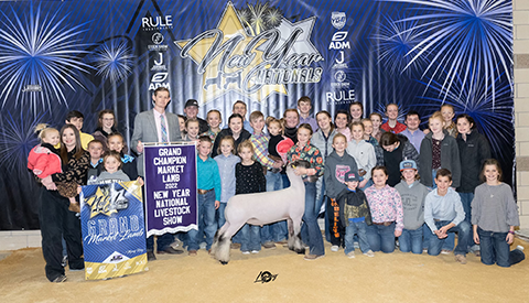 Wright Club Lambs Winners