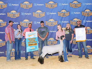 Wright Club Lambs Winners