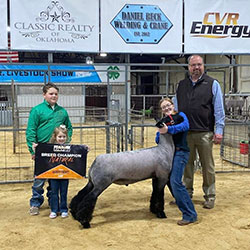 Wright Club Lambs Winners