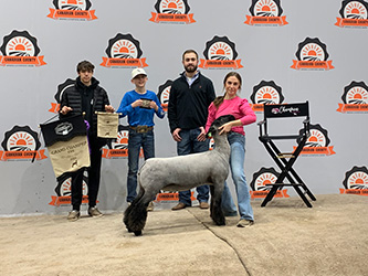 Wright Club Lambs Winners
