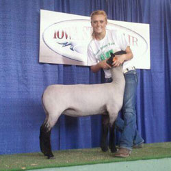 Wright Club Lambs Winner