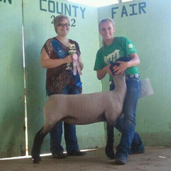 Wright Club Lambs Winner