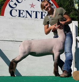 Wright Club Lambs Winner