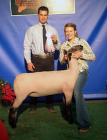 Wright Club Lambs Winners