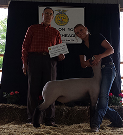 Wright Club Lambs Winner