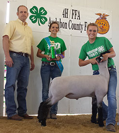 Wright Club Lambs Winners