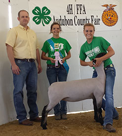 Wright Club Lamb Winners