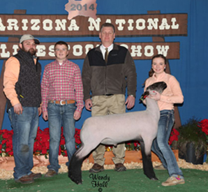 Wright Club Lambs Winners