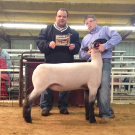 Wright Club Lambs Winners