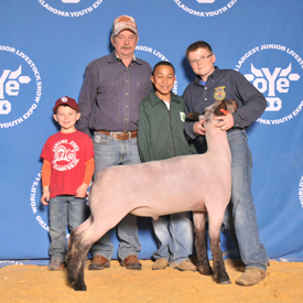 Wright Club Lambs Winners