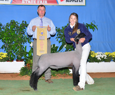 Wright Club Lambs Winners
