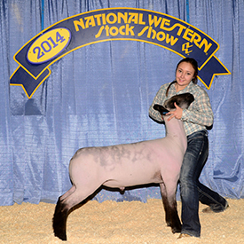 Wright Club Lambs Winners