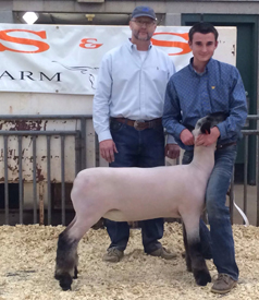 Wright Club Lambs Winners