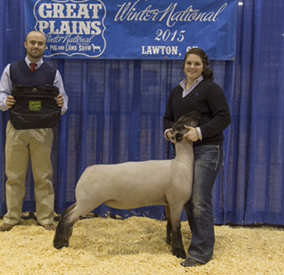 Wright Club Lambs Winners